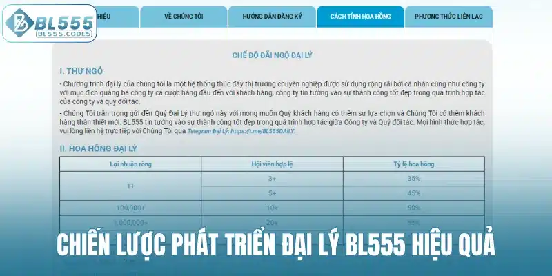 Chiến lược phát triển đại lý BL555 hiệu quả