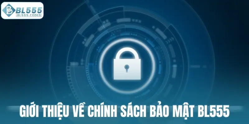 Giới thiệu chung về chính sách bảo mật BL555